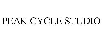 PEAK CYCLE STUDIO