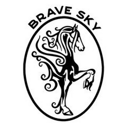 BRAVE SKY