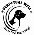 PERPETUAL WELL NEVER DRY! THAT'S WHY!