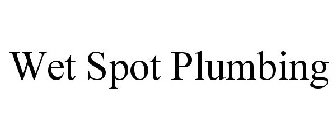 WET SPOT PLUMBING