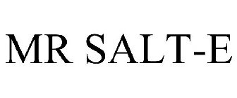 MR SALT-E