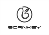 BORNKEY