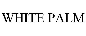 WHITE PALM