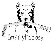 GNARLYHOCKEY