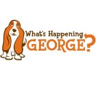 WHAT'S HAPPENING GEORGE