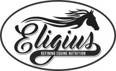 ELIGIUS REFINING EQUINE NUTRITION