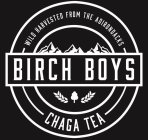 BIRCH BOYS WILD HARVESTED FROM THE ADIRONDACKS CHAGA TEA