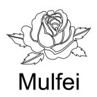 MULFEI