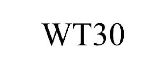 WT 30