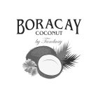 BORACAY COCONUT BY TANDUAY