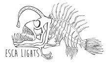 ESCA LIGHTS