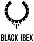 BLACK IBEX