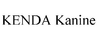 KENDA KANINE