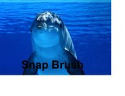 SNAP BRUSH