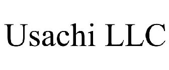 USACHI LLC