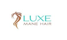 LUXE MANE HAIR