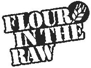 FLOUR IN THE RAW