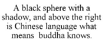 A BLACK SPHERE WITH A SHADOW, AND ABOVE THE RIGHT IS CHINESE LANGUAGE WHAT MEANS BUDDHA KNOWS.