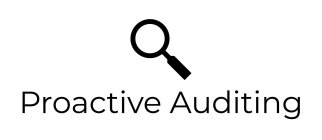 PROACTIVE AUDITING
