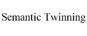 SEMANTIC TWINNING