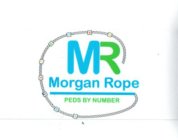 MR MORGAN ROPE PEDS BY NUMBER, NUMBERS ONE THROUGH NINE ARE ON THE ROPE