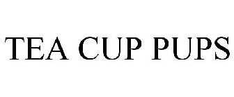 TEA CUP PUPS
