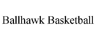 BALLHAWK BASKETBALL