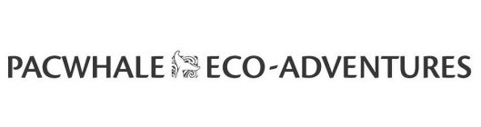 PACWHALE ECO-ADVENTURES