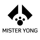 MISTER YONG