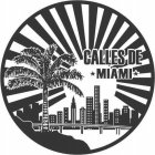 CALLES DE MIAMI