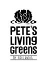 PETE'S LIVING GREENS BY HOLLANDIA