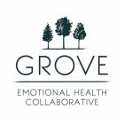 GROVE EMOTIONAL HEALTH COLLABORATIVE