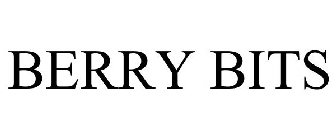 BERRY BITS