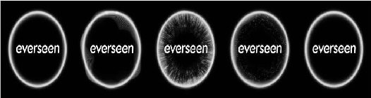 EVERSEEN