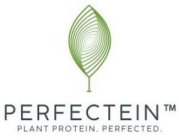 PERFECTEIN PLANT PROTEIN. PERFECTED.