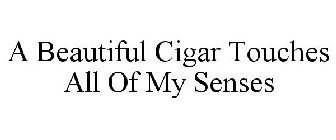 A BEAUTIFUL CIGAR TOUCHES ALL OF MY SENSES