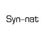SYN-NAT