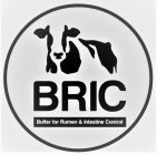 BRIC BUFFER FOR RUMEN & INTESTINE CONTROL