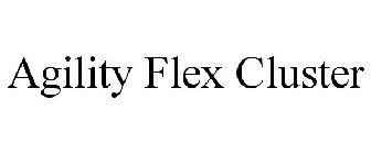AGILITY FLEX CLUSTER