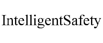 INTELLIGENTSAFETY