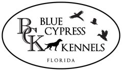 BLUE CYPRESS KENNELS FLORIDA