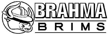 Image for trademark with serial number 87944907