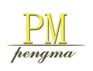 PM PENGMA