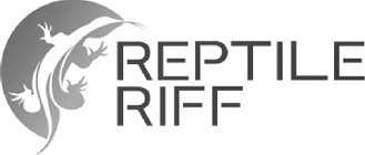 REPTILE RIFF