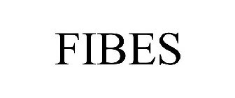 FIBES