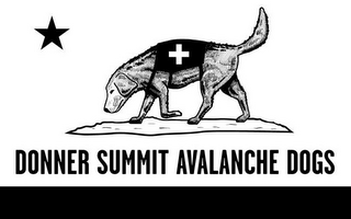 DONNER SUMMIT AVALANCHE DOGS
