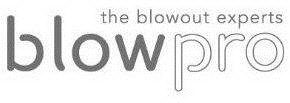 THE BLOWOUT EXPERTS BLOWPRO