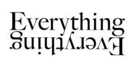 EVERYTHING EVERYTHING