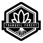TRANQUIL FOREST