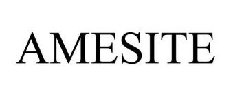 AMESITE